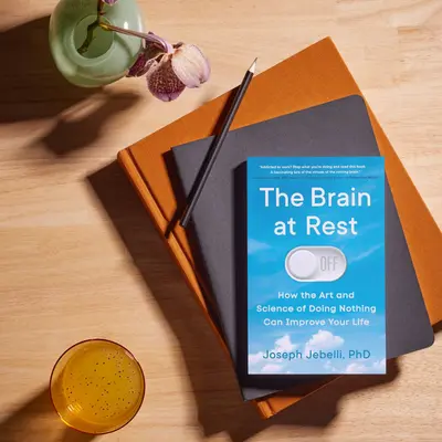 کتاب The Brain at Rest کتاب سلامت روان مغز در حالت استراحت از جوزف جبلی دانلود کتاب با لینک مستقیم منابع نوروسایکولوژی ۲۰۲۵